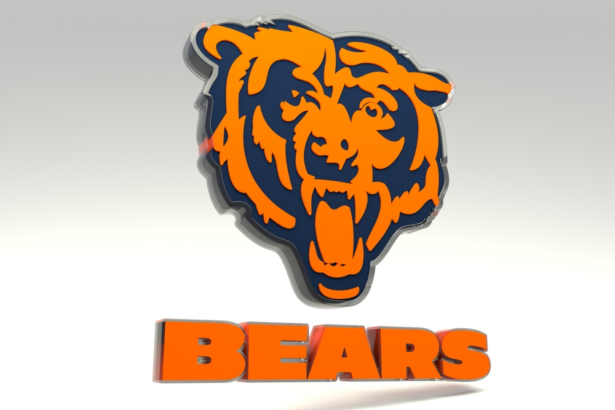 chicago bears