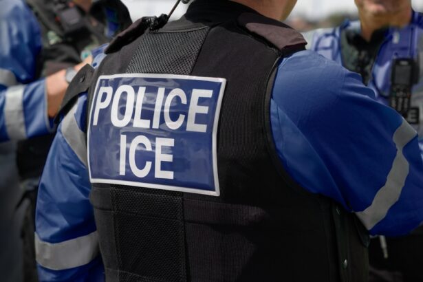 federal, democrats, immigration