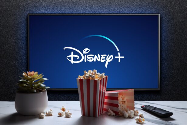 Disney +