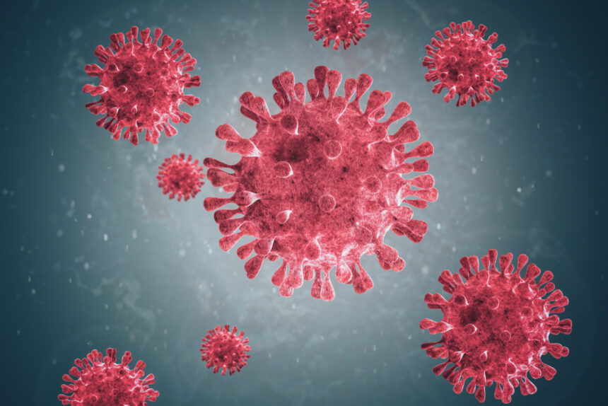 Norovirus