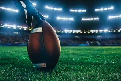 North Dakota Fighting Hawks