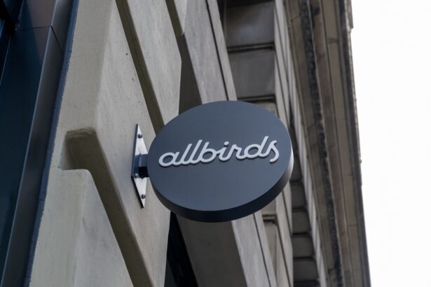 allbirds