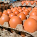 Eggs