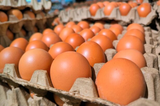 Eggs