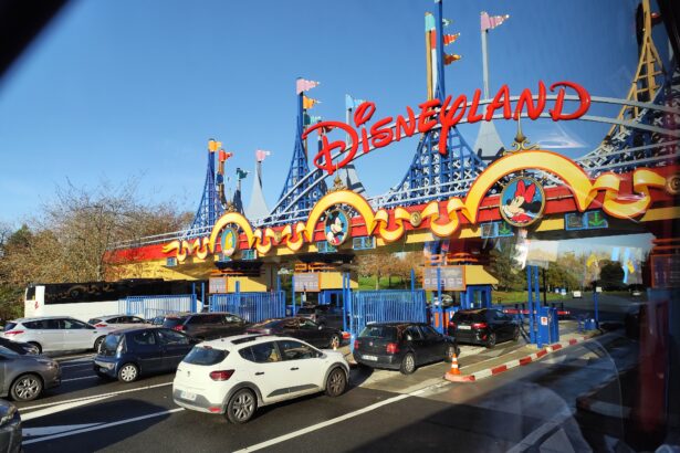 Disneyland, California, license plates,