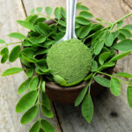 Moringa