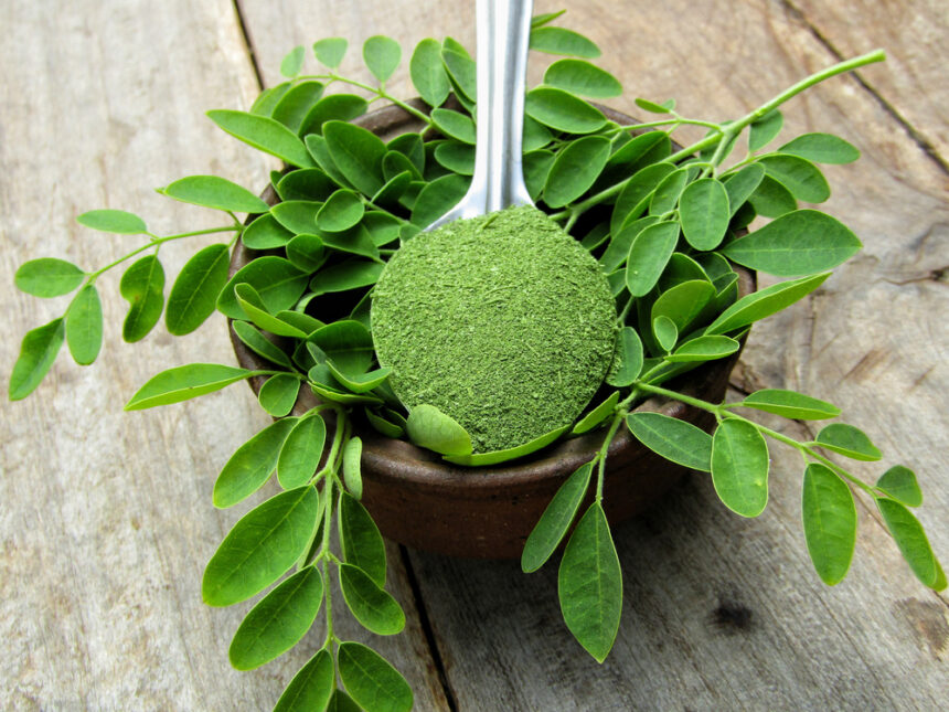Moringa