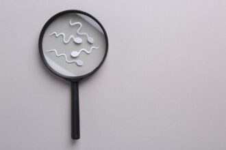 male fertility
