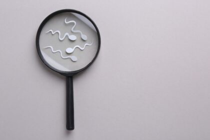 male fertility