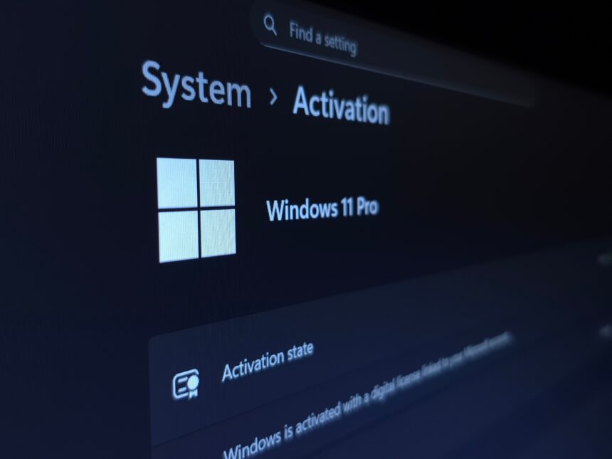 Windows 11