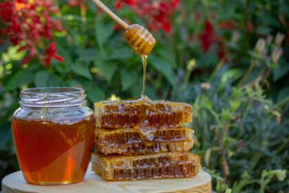 Honey