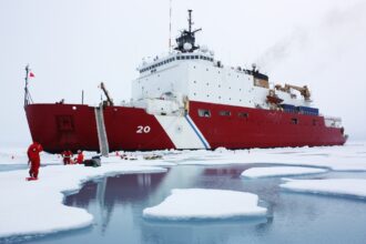 Arctic