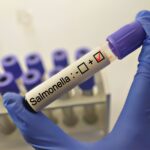 Salmonella