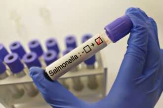 Salmonella