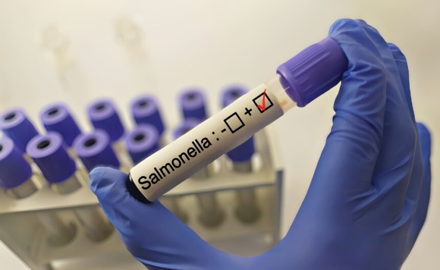 Salmonella