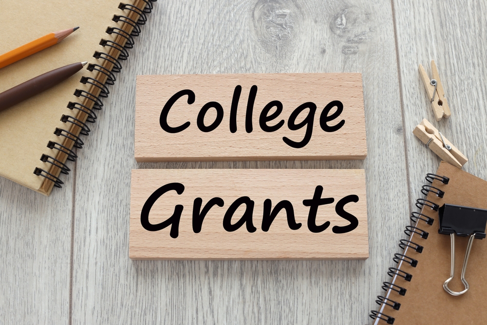 Teacher training grants