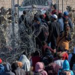 Migrant