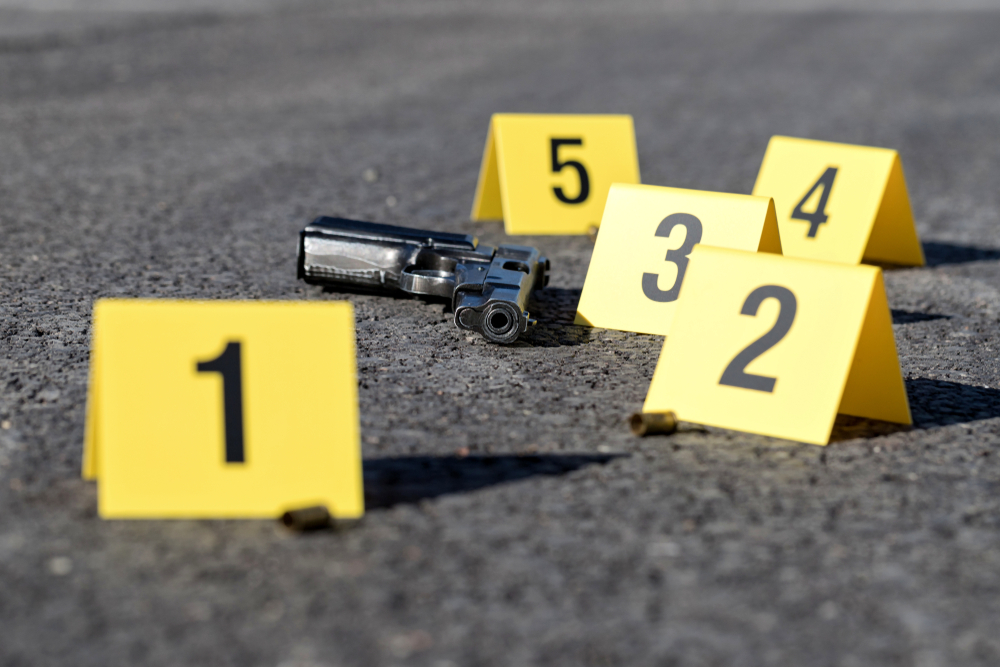 Shooting, Northridge