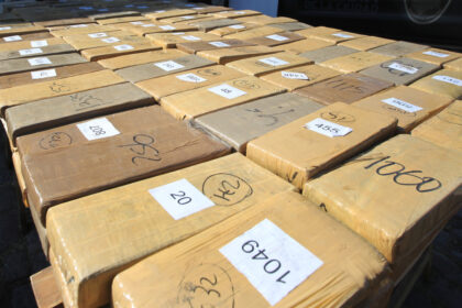 marijuana bust