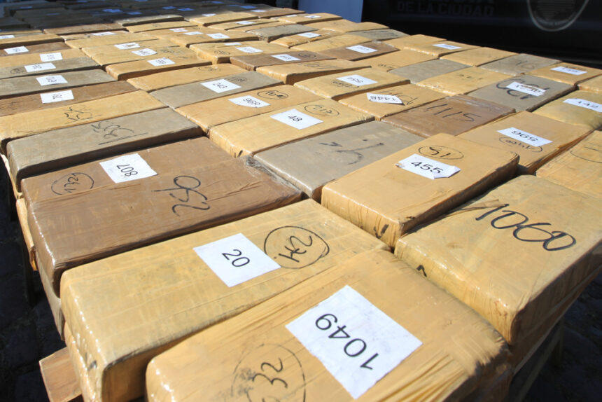 marijuana bust