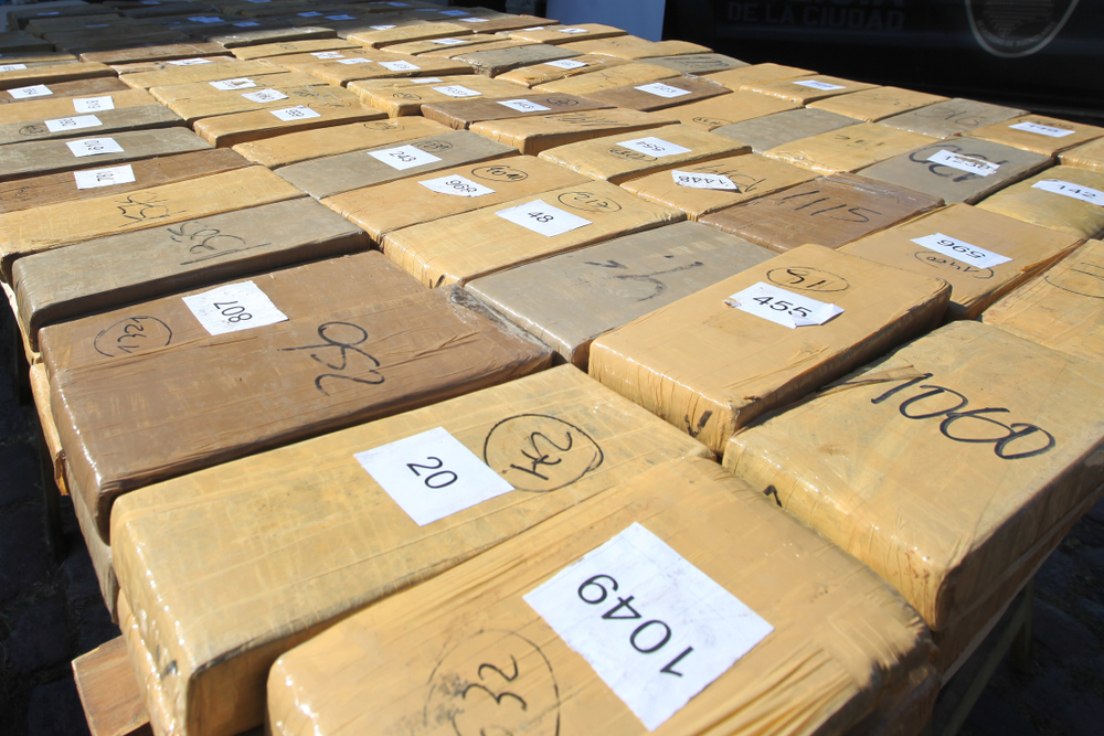 marijuana bust